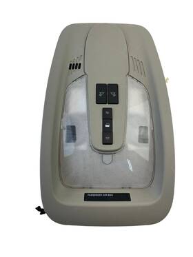 20900987 Chevrolet 2010 2011 Equinox Overhead Console Dome Map Light Lamp Oem