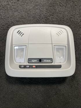 A2460-73-9874ah Chevrolet 2016-2019 Volt Overhead Console Dome Light Lamp Oem