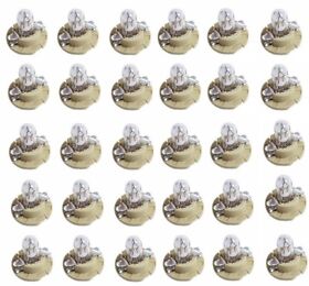 39118 For Mercedes R129 W140 Set Of 30 Instrument Panel Light Bulb 12v 1.5w Osram 39118 For Mercedes R129 W140 Set Of 30 Instrument Panel Light Bulb 12v 1.5w Osram