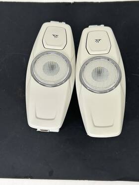 Cj5a-13k767-dg3m1 Ford 2013-2019 Escape Rear Interior Headliner Dome Lights Lamp Oem Pair