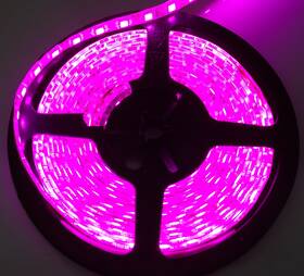 Rs-5050-5mp Race Sport Lighting For Interior Accent Light