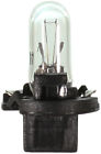 Pc37 Wagner Instrument Panel Lighting Boxed Lamp Light Bulb-miniature - Prices