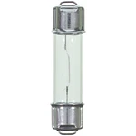 Dome Bulb Wagner Lighting BP211-2LL. Fixed Price $8.07.