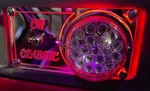 Freightliner Classic Dome Lights Plate Purple Led Color. Fixed Price $80.00.