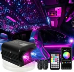 Amki Dual Color 20W Twinkle Starlight Headliner Kit 1300PCS 0.03IN 13.1FT Fib.... Fixed Price $245.40.