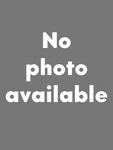 Bmw Z3 Jahn Brake Light Bulb 1837 63311375003. Fixed Price $46.00.