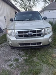 08-12 Ford Escape Front Grille Oem Mariner Tribute Light Sage Metallic W6. Fixed Price $39.29.