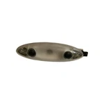 2014 Mini Cooper Countryman Interior Reading Light Used Oem (63319219142). Fixed Price $30.20.
