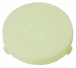 Restoparts Courtesy Light Dome Lens For Cadillac Oldsmobile And Buick Models. Fixed Price $23.98.