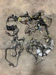 Toyota Land Cruiser 1995-1997 FZJ80 1FZ Front Wiring Harness Beta. Fixed Price $911.99.