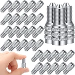 Bbto 32 Pcs Double Seal Valve Stem Caps Inflate Tire Metallic. Fixed Price $29.58.