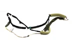 2013-2019 Nissan Sentra Dome Light Roof Wiring Wire Harness 240603SG0B. Fixed Price $24.72.