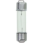 Courtesy Bulb Wagner Lighting BP212-2LL. Fixed Price $7.14.