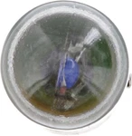 Tail Light Bulb-longerlife Twin Blister Pack Philips R5WLLB2. Fixed Price $24.99.