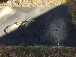 1983 Mercedes Benz 240D Rear Dome Light Harness. Fixed Price $28.00.