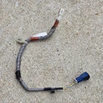 2009 Honda Pilot Center Console Light Wiring Harness Sub-wire Oem 32159-SZA-A002. Fixed Price $12.11.