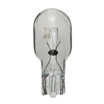 Courtesy Bulb Wagner Lighting BP906LL. Fixed Price $23.22.