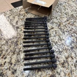 Lot Of Engine Cylinder Head Bolt- Vin: S, Code: LL8 Gm Parts 11609709. Fixed Price $100.00.