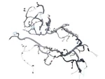 RAM15NEW 2021 Engine Wire Harness 641963. Fixed Price $294.00.