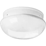 41ELIZABETH 41386-WW Ignatius 2 Light 11.75 Inch White Flush Mount Ceiling. Fixed Price $56.08.