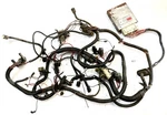 Jeep Cylinder Engine Wiring Harness 84-86 CJ7 CJ8 Amc Wire 4.2 258 !!. Fixed Price $225.00.