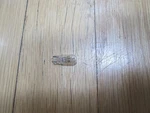 New Oem 1991 1992 1993 Ford Escort Ignition Key Bulb. Fixed Price $7.49.