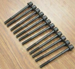 New Gm Oem 11609709 Engine Cylinder Head Bolt Lot Of (12). Fixed Price $72.99.