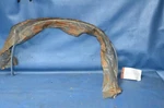 Nos 1984-87 Chevy Cavalier 2D/CONV Lh Rear Wheel Lip Molding Edge Trim 20495539. Fixed Price $100.00.