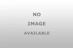 Rigid Industries 480043. Fixed Price $99.99.