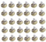 For Mercedes R129 W140 Set Of 30 Instrument Panel Light Bulb 12V 1.5W Osram. Fixed Price $144.92.
