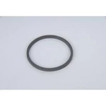 24237428 Ac Delco Automatic Transmission Clutch Spring Retaining For Chevy. Fixed Price $21.21.