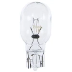 Courtesy Bulb Wagner Lighting BP906. Fixed Price $6.96.