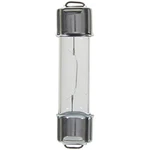 Dome Bulb Wagner Lighting BP211-2. Fixed Price $8.09.