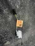 2021-2023 Mustang Mach-e Left Right Dashboard Courtesy Lamp Light Oem.. Fixed Price $25.00.