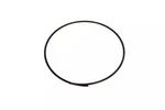 Genuine Gm Automatic Transmission 2-6 Clutch Spring Retaining 24263709. Fixed Price $69.45.