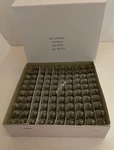 Box Of 100 #555 Lamp Light Bulbs 6.3 Volt 0.25A. Fixed Price $30.95.