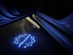 Door Courtesy Lights. Fixed Price $47.99.