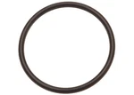 Automatic Transmission Turbine Shaft Seal. Fixed Price $13.56.