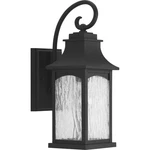 41ELIZABETH 41998-BWS Corrina Outdoor Wall Light Textured Black. Fixed Price $163.39.