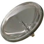 Wagner Lighting 4416 Standard Multi-purpose Bulb Box Of. Fixed Price $15.23.